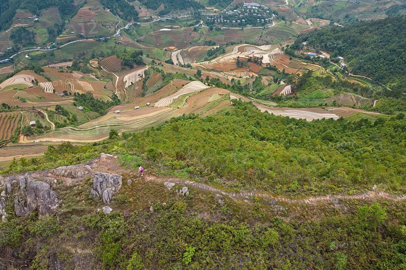 Aerial view of a woman with a pink rucksack walking along The Dinosaur Backbone (S?ng Lung Kh?ng Long), De Xu Phinh Commune, across rice terraces whilst the new, fresh green rice is being planted, the new, fresh green rice seedlings at Mù Cang Ch?i, Mu Cang Chai District, Lào Cai Province, Northern Vietnam, Vietnam