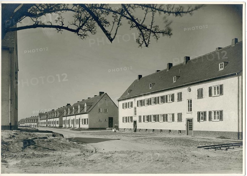 Kitzscher settlement, near Borna, Saxony, miner settlement, architecture, Curt Schiemichen, 1889-1957, rural housing development with row houses and a tree in the foreground, around 1934