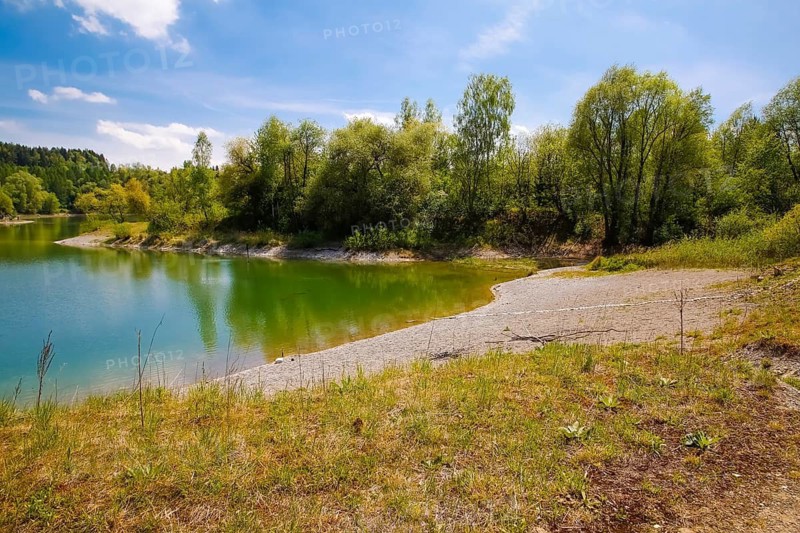 Body of water, lake, trees, shore, biotope, species protection, aquatic ecology, habitat, restoration, Laizer quarry pond, nature conservation in the Paultertal industrial park, Laiz-Inzigkofen, Sigmaringen district, Baden-Württemberg, Germany