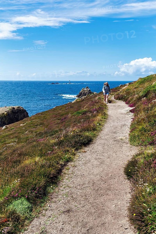 Hikers on coastline, heather blossom on the Atlantic coast, coastal hiking trail, South West Coast Path, blue sky in summer, Land's End headland, Penzance, Penwith Peninsula, Cornwall, England, Great Britain