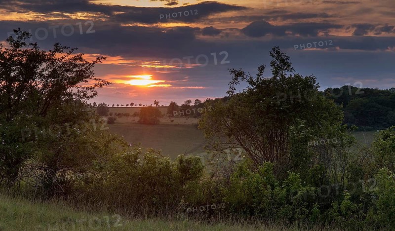 Germany, Nabu, natural heritage, Thuringia, wind knobs, cultivated landscape, landscape, nature reserve, nature reserve, nature reserve, sunset