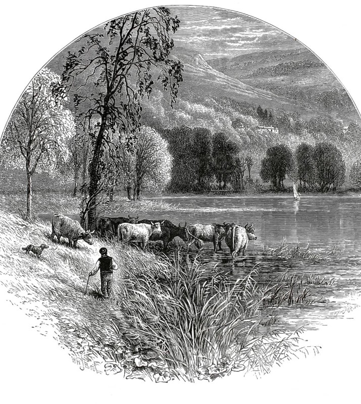 Picturesque scene at Coniston Water in the English Lake District, cattle drinking in the lake while a figure with a dog standing on the shore, 1870, England, authentic, high-resolution reproduction from a 19th-century model, exact date of depiction unknown, historical