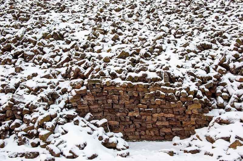 Peat in winter, moor, Goldenstedt, Lower Saxony, Germany