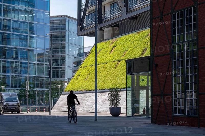 Green wall, façade of a building on Franziusstraße in the media harbor in Düsseldorf, North Rhine-Westphalia, Germany