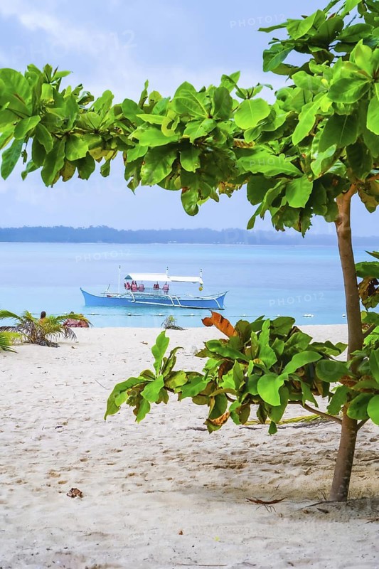 Lush tropical vegetation framing a traditional bangka boat moored in the turquoise waters of guyam island, siargao, creates a serene paradise