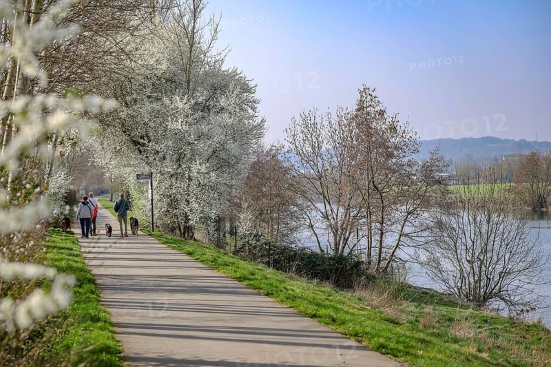 Hattingen, North Rhine-Westphalia, Germany - Landschaft an der Ruhr, walkers along the Ruhr promenade Winz-Baak with Ruhr Valley Cycle Path