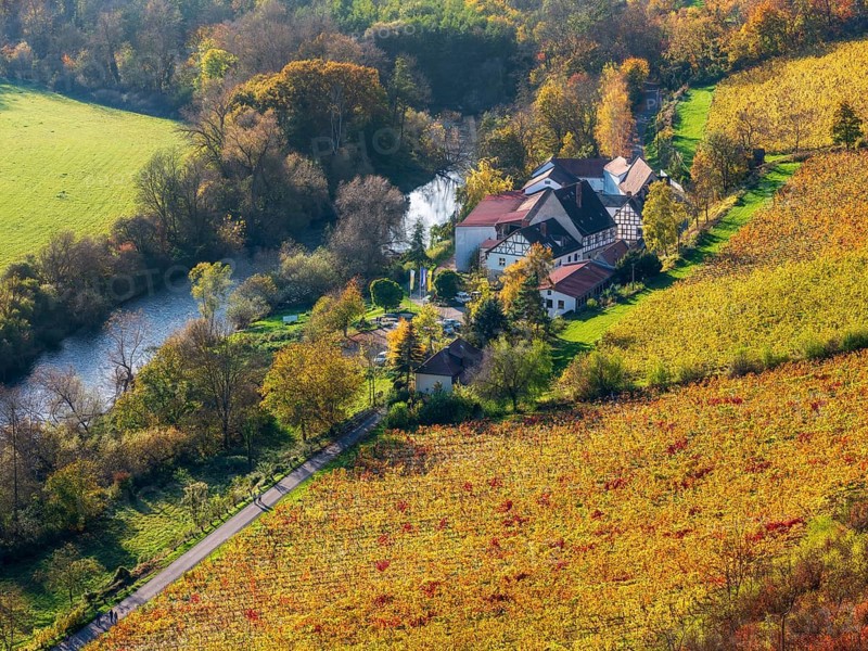 View of the state winery Kloster Pforta on the Saale with vineyard in autumn, Naumburg, Saxony-Anhalt, Germany