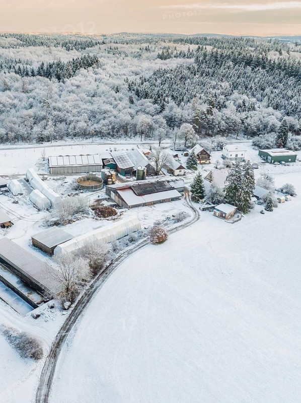 Snowy rural scene with forests and various buildings, Haselstaller Hof, district of Calw, Black Forest, Germany