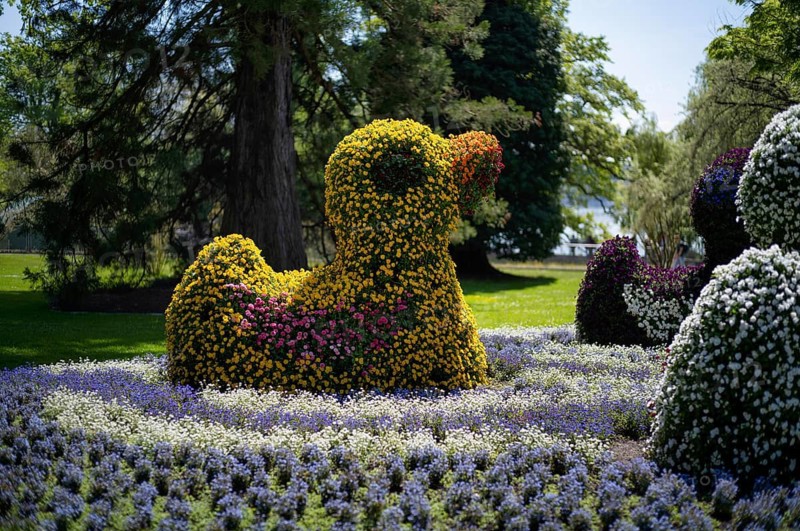 Duck in the lake, flower sculpture, Mainau Island, district of Constance, Baden-Württemberg, Germany