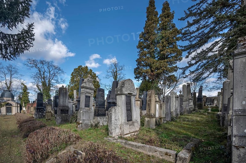 Old graves at the Israeli cemetery, inaugurated in 1882, Werner-von Siemens Str. 2, Würzburg, Lower Franconia, Bavaria, Germany