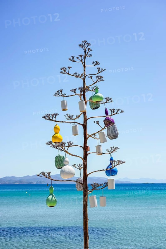 A coastal art installation features a tree adorned with colorful decorations, set against a bright blue sea under sunny skies
