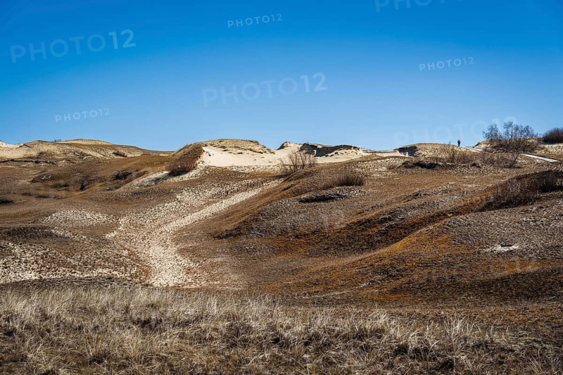 The Gray Dunes, or the Dead Dunes is sandy hills with a bit of green specks at the Lithuanian side of the Curonian Spit, Wide view of sand dunes under a clear blue sky, with sparse grass and earthy tones, Curonian Spit, Neringa, Lithuania