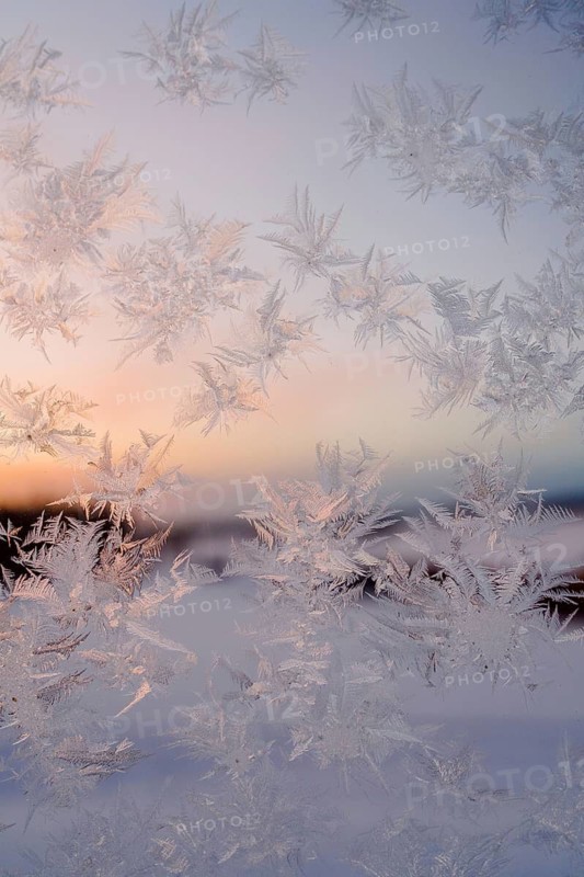 Close-up of intricate frost patterns on a window in Swedish Lapland. The soft sunlight highlights icy textures and detailed formations