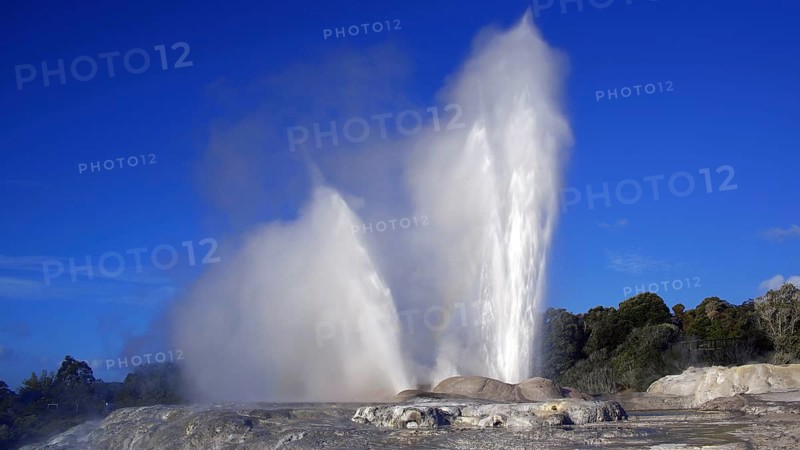 New Zealand, North Island, geyser in Whakarewarewa, Pohutu geyser, Whakarewarewa, North Island, New Zealand