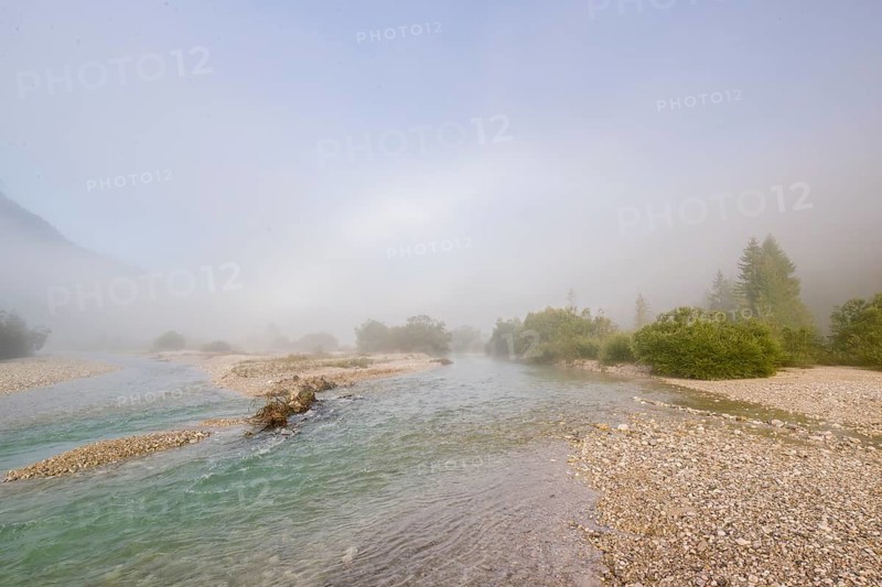 Isar valley nature conservancy area. The wild Isar river flows through its gravel bed past driftwood and entrained trees and bushes. Sunrise with fog showing an arc of mist, a rare weather phenomenon