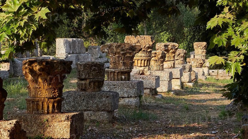 Column remains in an ancient ruined site, surrounded by shade and nature, Archaeological Site, Ancient Olympia, Olympia, Peloponnese, Greece