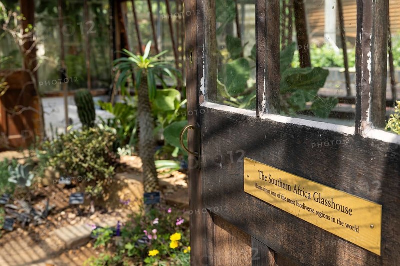 Historic greenhouse for South African plants, Chelsea Physic Garden, historic botanical garden, oldest botanical garden in London, founded in 1673 by the Worshipful Society of Apothecaries, Chelsea, England, Great Britain, Great Britain