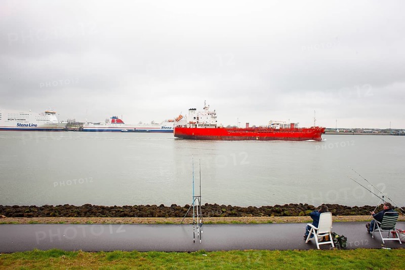 Anglers on the Rhine in the harbour of Rotterdam, Netherlands