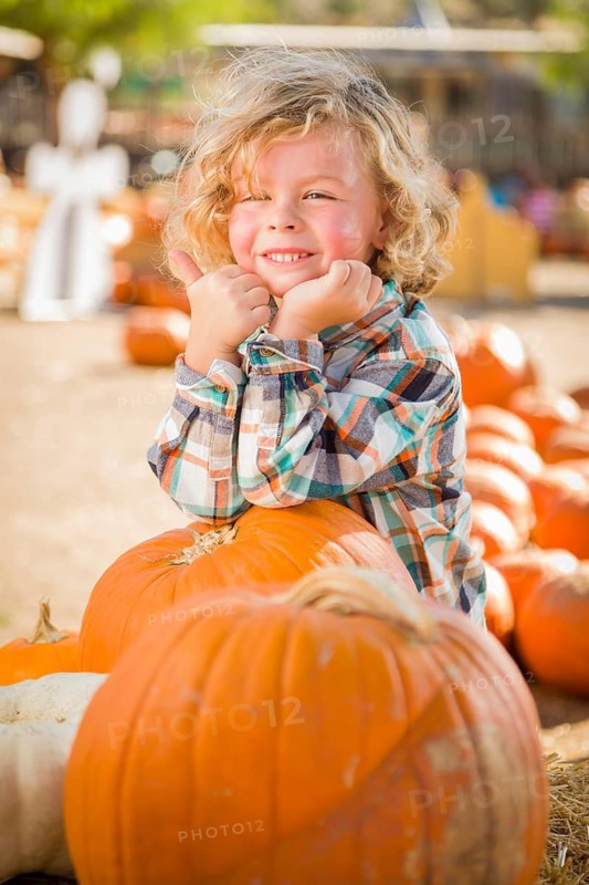 Little Boy Standing in a Rustic Ranch Setting at the Pumpkin Patch