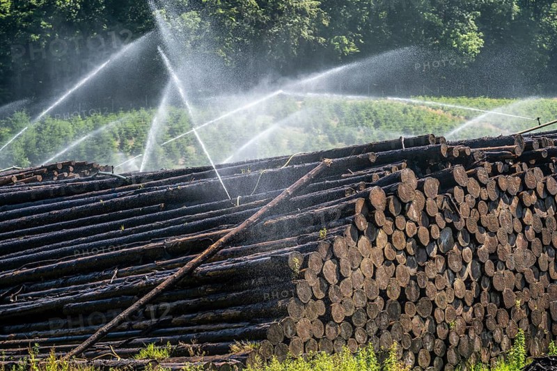 Wet wood storage of a sawmill, timber that is stored longer is sprinkled with water so that the logs soak up water and thus keep pests away and the wood is not too dry and cracks for processing, spruce wood, Arnsberg Forest, Ansberg, North Rhine-Westphalia, Germany