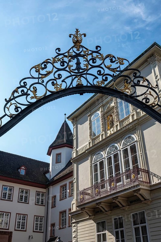 Wrought iron gate in the courtyard of the Domhof in the old town of Basel, Canton of Basel-Stadt, Switzerland