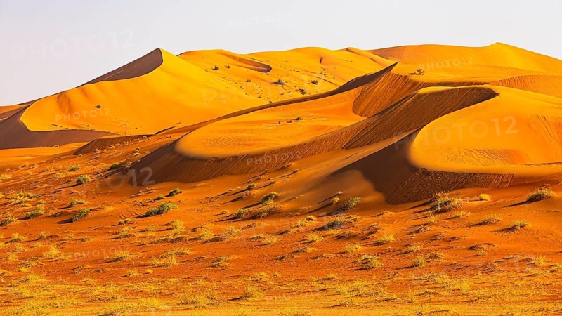 Wind-sculpted curved sand dunes in the Rub al Khali desert, Dhofar province, Arabian Peninsula, Sultanate of Oman