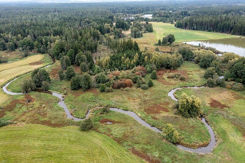 Bavaria, Upper Palatinate, Tirschenreuth, Waldnaab, Waldnaabaue, wild pastures Waldnaabaue, aerial view, aerial view