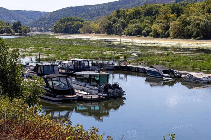 August 2026, Extreme low tide on the Middle Rhine***Sports boats near Kaub