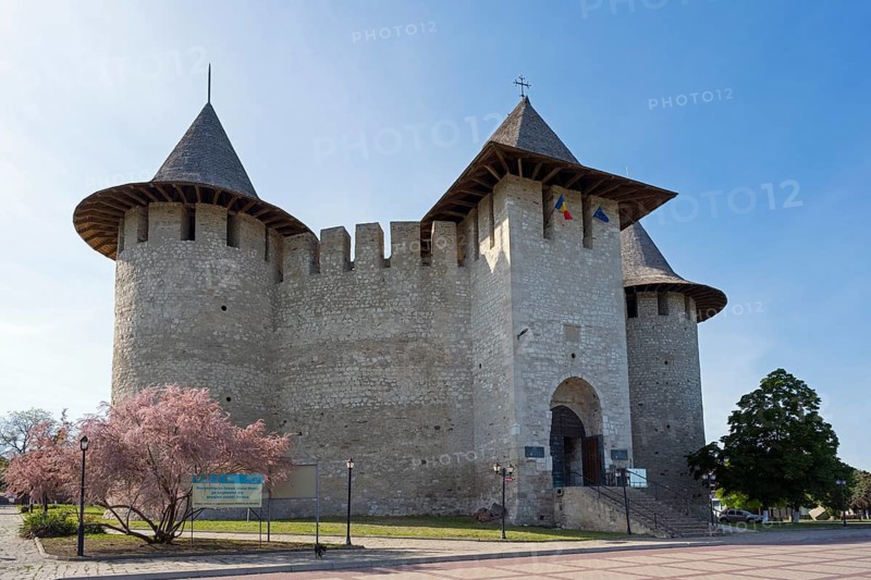 Impressive castle with flags and blooming tree under a clear sky, Soroca Fortress, Republic of Moldova, Moldova