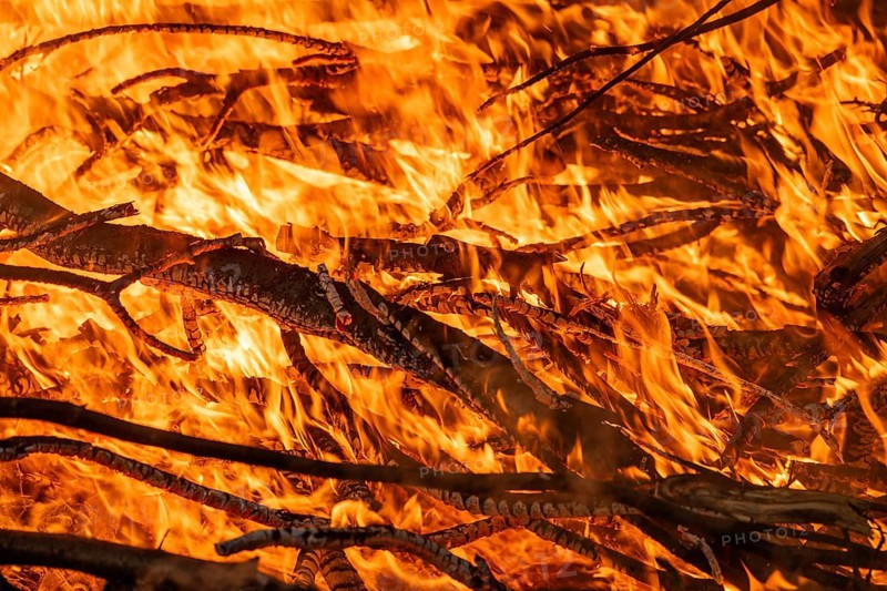 Blazing fire with intensely burning branches and hot embers, Finland