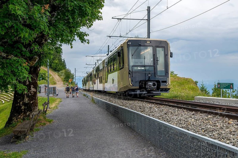 Vitznau Rigi Bahn articulated railcar, Rigi Staffel, Arth, Switzerland