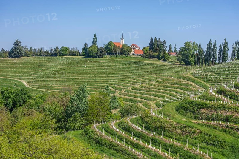 View over vineyards to the village, Jeruzalem, Ormož, Slovenia