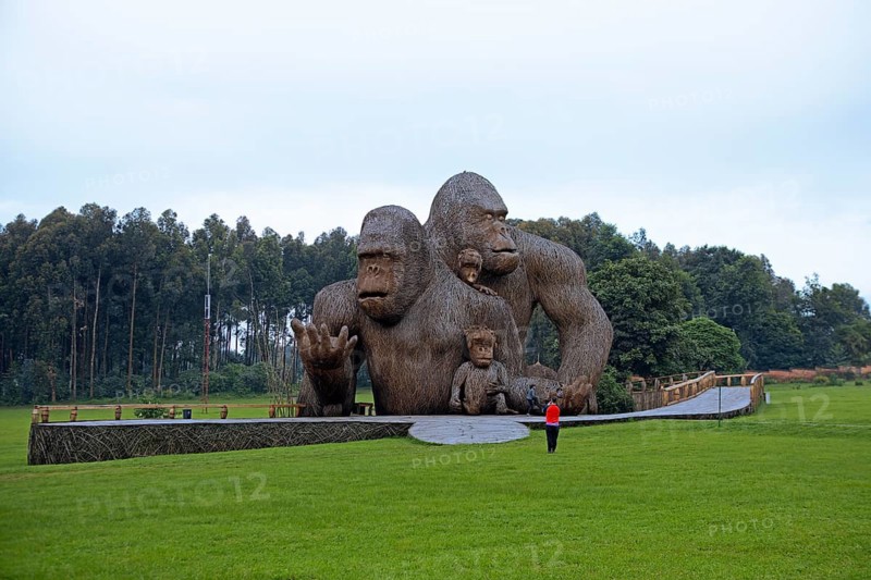 Gorilla artwork on the way to Parc National des Volcans, Volcanoes National Park, Rwanda