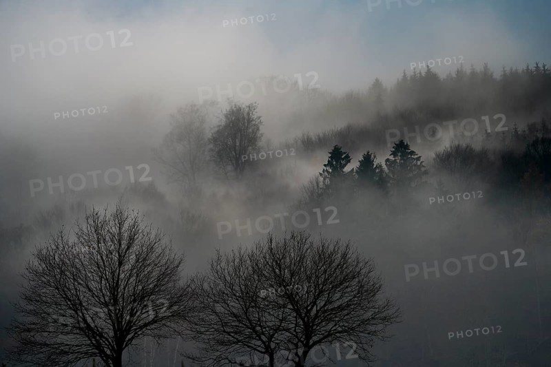 Foggy landscape, near Wesertal, Weser Uplands, Weserbergland, Hesse, Germany