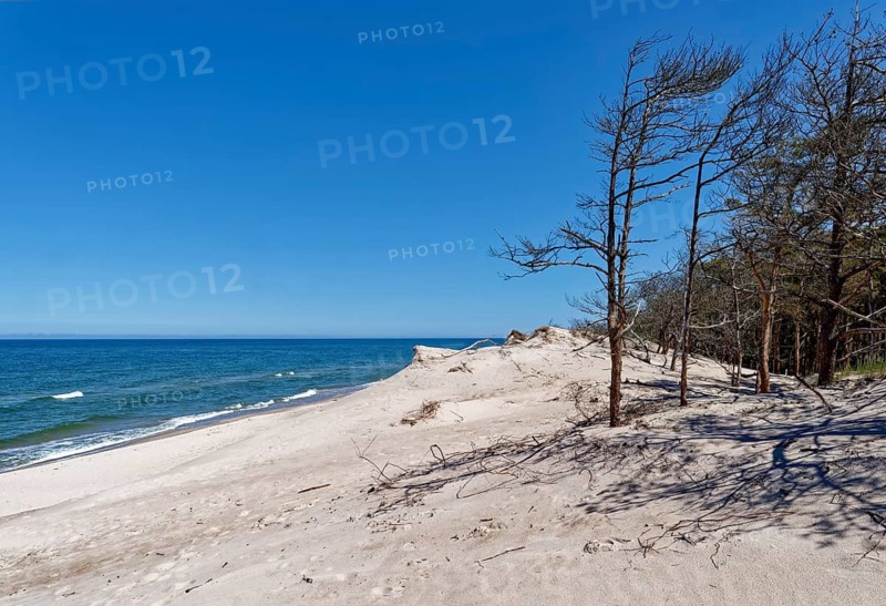 Baltic Sea beach and hiking dune in the Slowinski National Park, Slowinski Park Narodowy, UNESCO biosphere reserve, in Hinterpommern on the Baltic Sea coast. Rowy, Pomerania, Poland