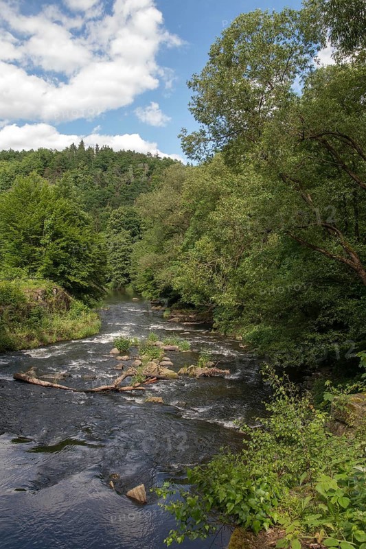 Germany, White Elster, Elstertal, high size, portrait format, landscape, nature reserve, Steinicht, Vogtland