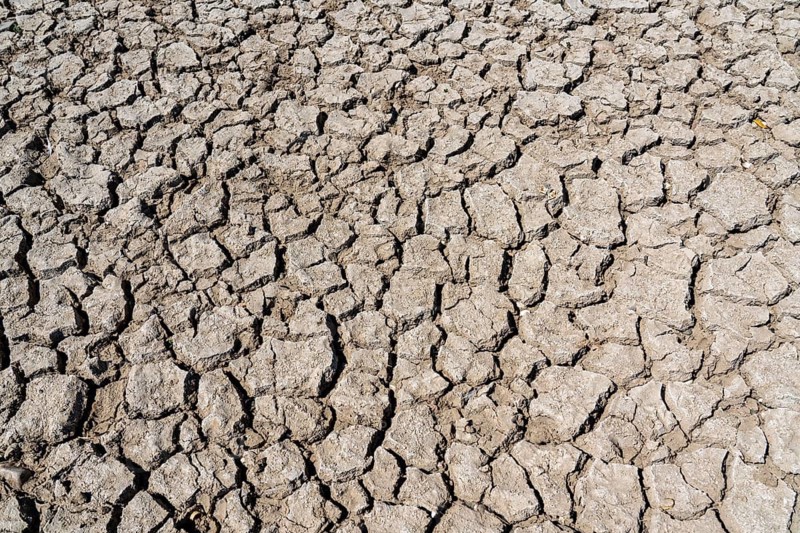 Rhine near Duisburg, extremely low water, Rhine level at 168 cm, falling, after the long drought the right bank of the Rhine is falling, near Duisburg-Neuenkamp, dry, cracked ground North Rhine-Westphalia, Germany
