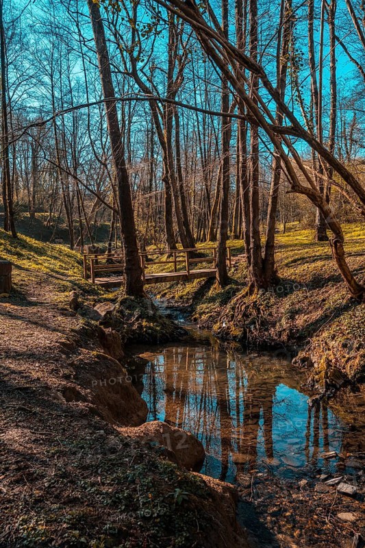 The river of the natural park of the town of Pasaia Antxo, Basque Country