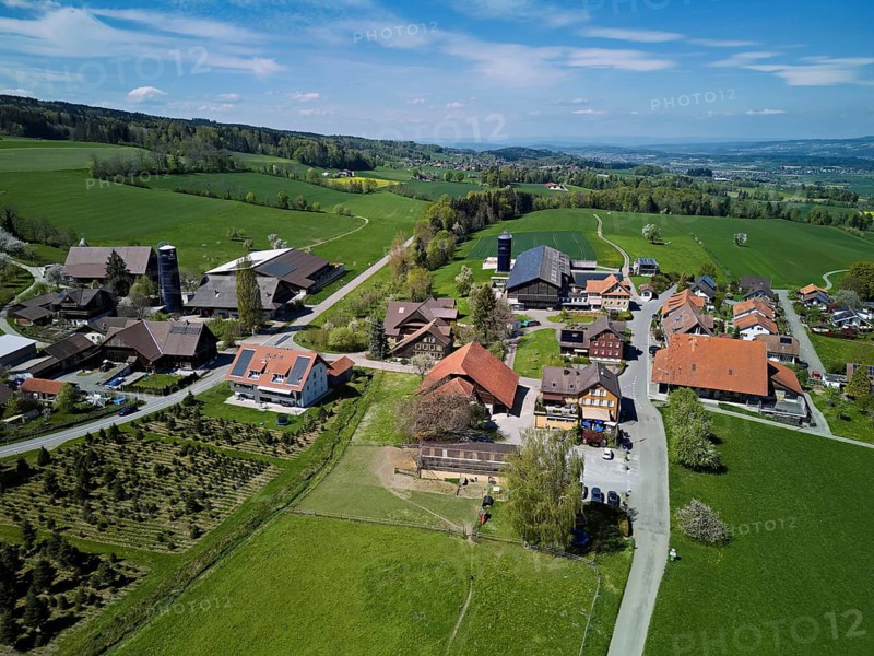View of the village with farms, Geltwil, Freiamt, Canton of Aargau, Switzerland