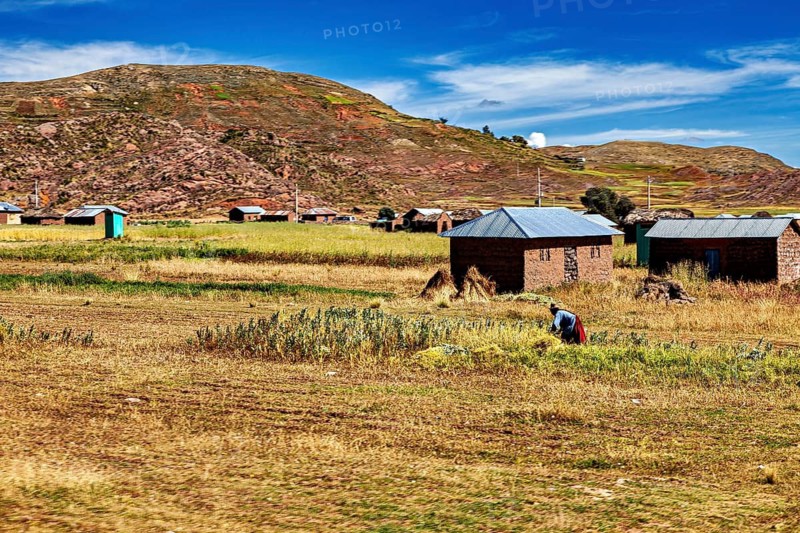 Farms in a hilly landscape with agriculture and a blue sky in the background, The villages and countryside near Puno in Peru