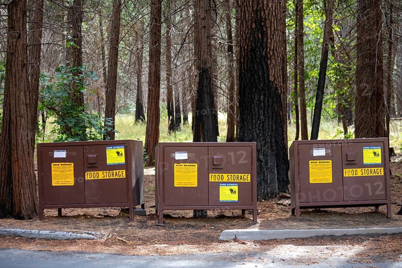 Yosemite National Park, California - Food storage lockers in Yosemite Valley in Yosemite National Park. The lockers are designed to keep food safe from bears