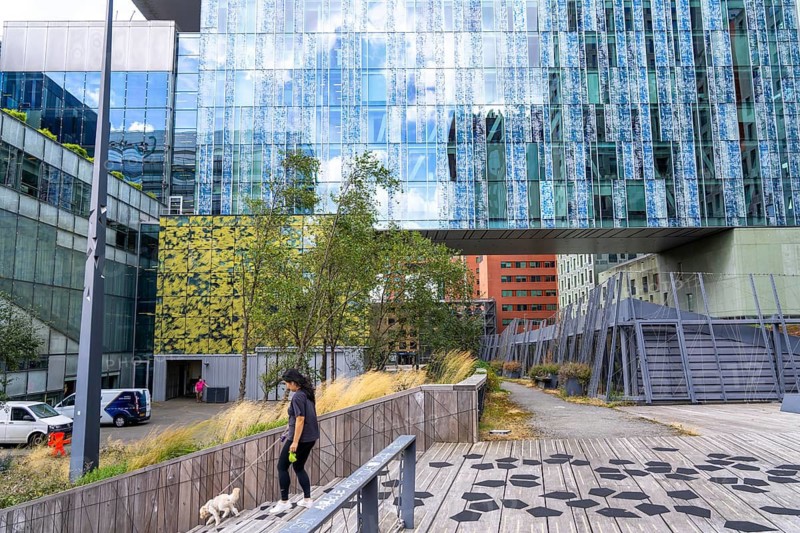 Green spaces around buildings, here at Hogeschool Inholland Rotterdam, plant beds at passageways, green walls and roofs, Rotterdam, Netherlands