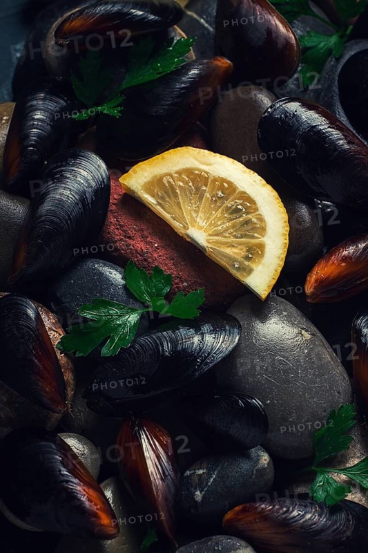 Fresh mussels, on rocks, top view, food concept, selective focus, seafood, no people