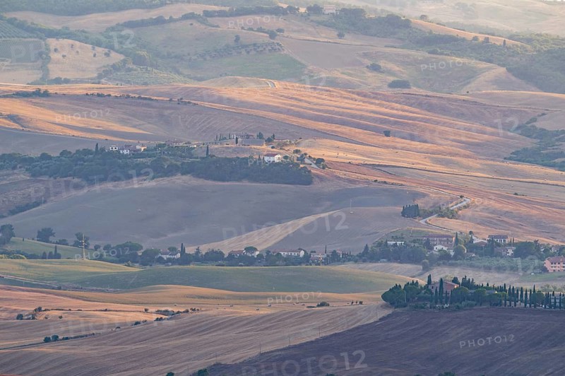 Typical Tuscan landscape in Val d'Orcia with hills, trees, fields, cypresses in autumn at sunset, near La Foce, Tuscany, Italy