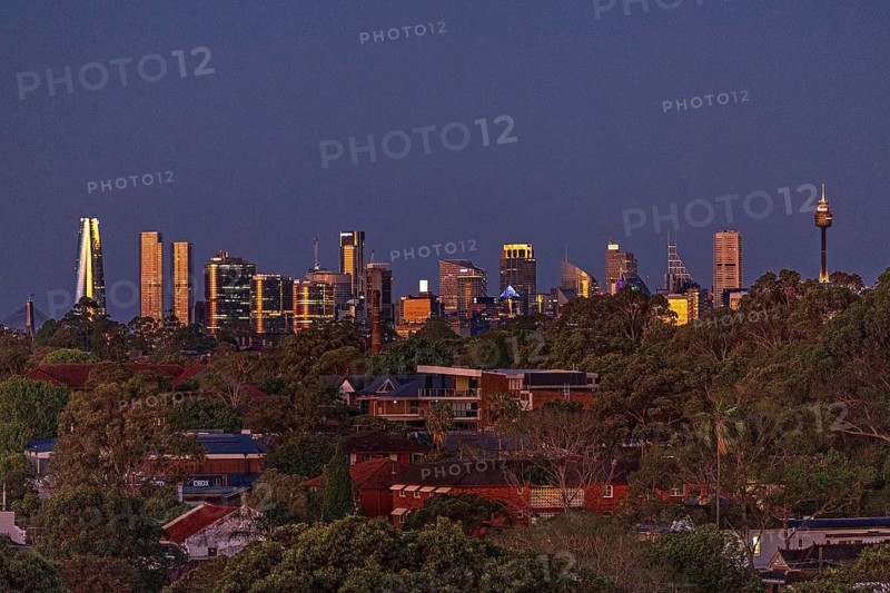 View of the Sydney skyline with greenery in the foreground and mix of modern buildings and traditional houses creating an urban landscape, Sydney, Australia