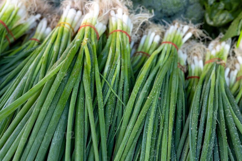 Bundles of fresh spring onions tied with red bands, laid out for sale at a market