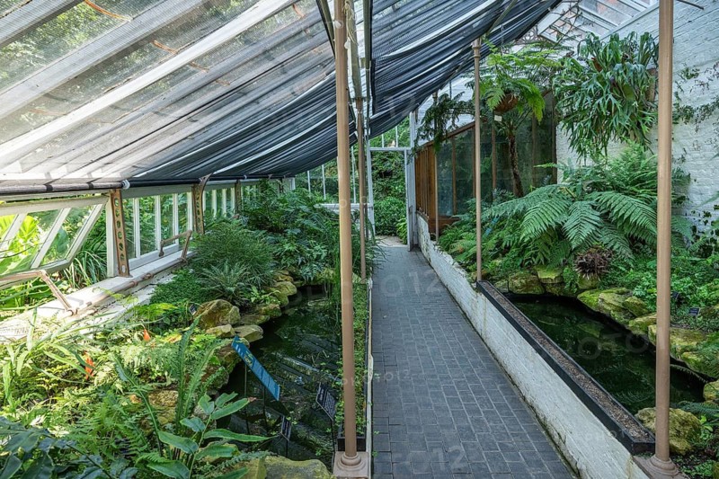 Thomas Moore Fernery, a cool, shady greenhouse for ferns, laid out in the 19th century by Thomas Moore (1821–1887), Curator and Head Gardener, Chelsea Physic Garden, a historic botanical garden and the oldest botanical garden in London, founded in 1673 by the Worshipful Society of Apothecaries, Chelsea, England, United Kingdom