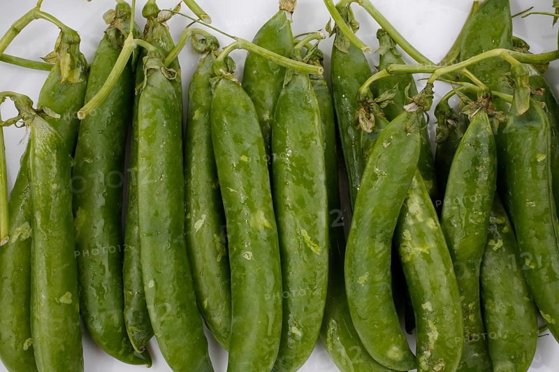 Peas (Pisum sativum), peas in pods, remove peas from pods, vegetables, vegetarian cuisine, preparation, healthy, men's hands, food photography, studio, Germany