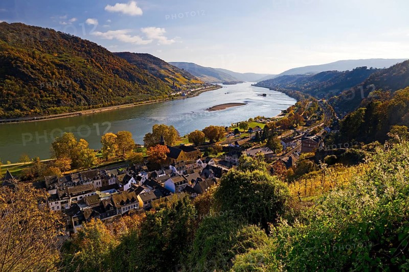 View of Bacharach on the Rhine in autumn, UNESCO World Heritage Upper Middle Rhine Valley, long-distance hiking trail RheinBurgenWeg, Rhineland-Palatinate, Germany