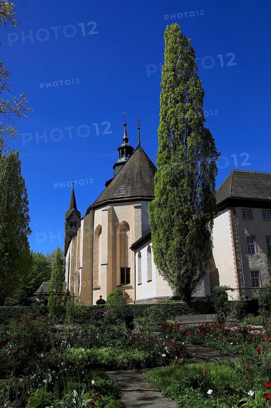 Remtergarten, Corvey, World Heritage Site, former Benedictine Abbey directly on the west bank of the Weser, city of Höxter, North Rhine-Westphalia, Germany